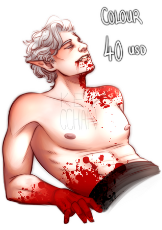 colour b: 40 USD